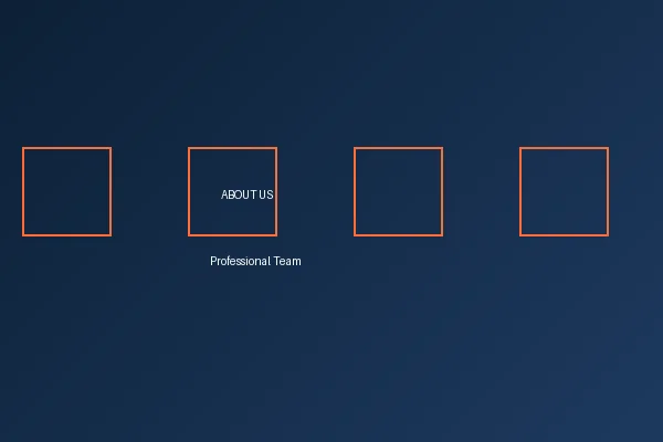 b体育官网专业团队合影